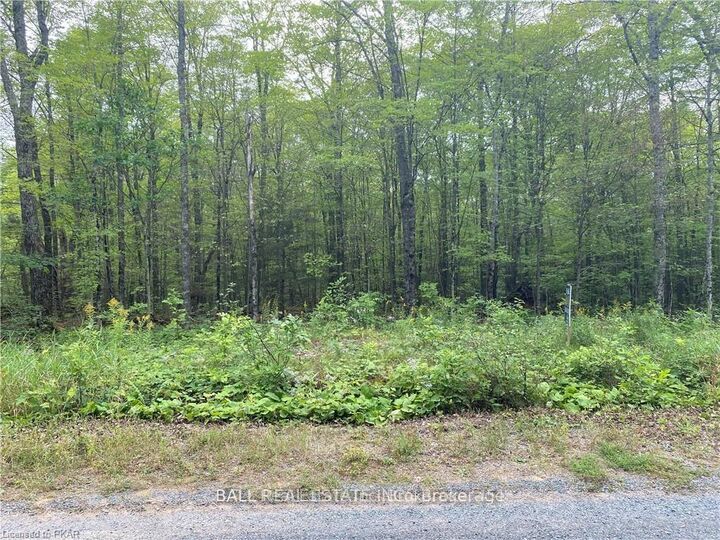 Property Photo:  N/A Pcl 45-2 Sec M63 Road  ON K0L 1P0 