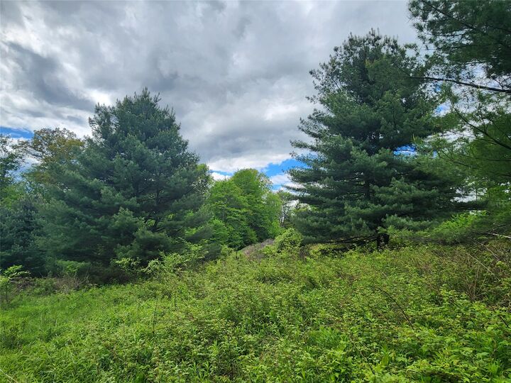 Property Photo:  0 Race Road  NY 13778 