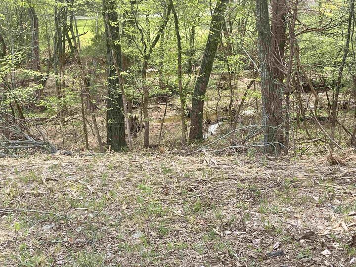 Property Photo: Tbd Rainbow Drive AR 72542