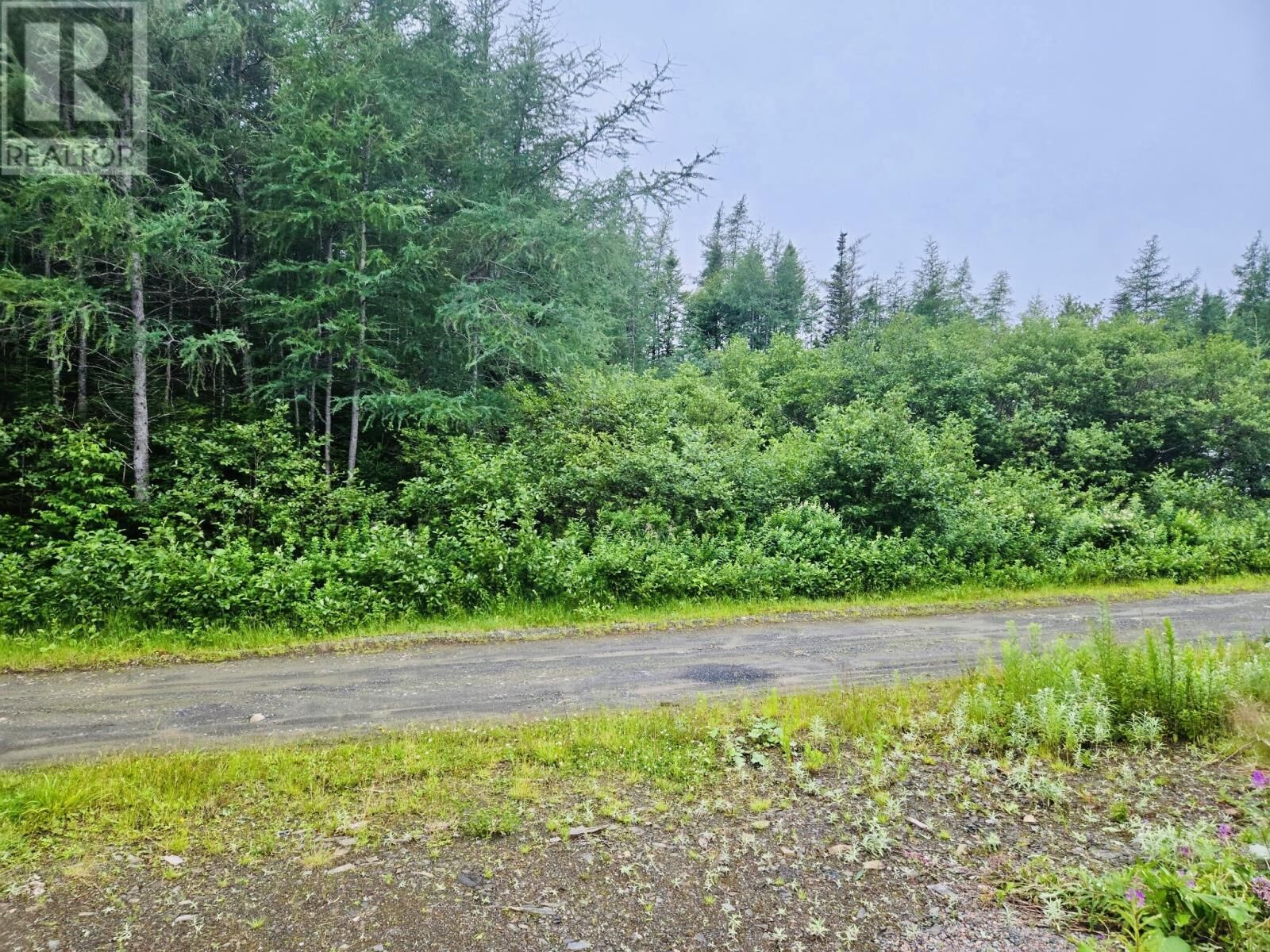 Property Photo:  7 Lot -Camp 4 Road  NL A0H 1R0 