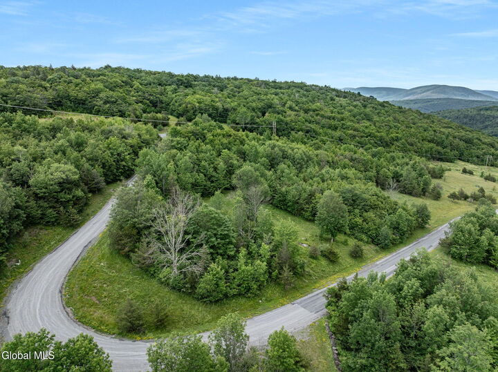 Property Photo: L40 Overlook Drive NY 12452