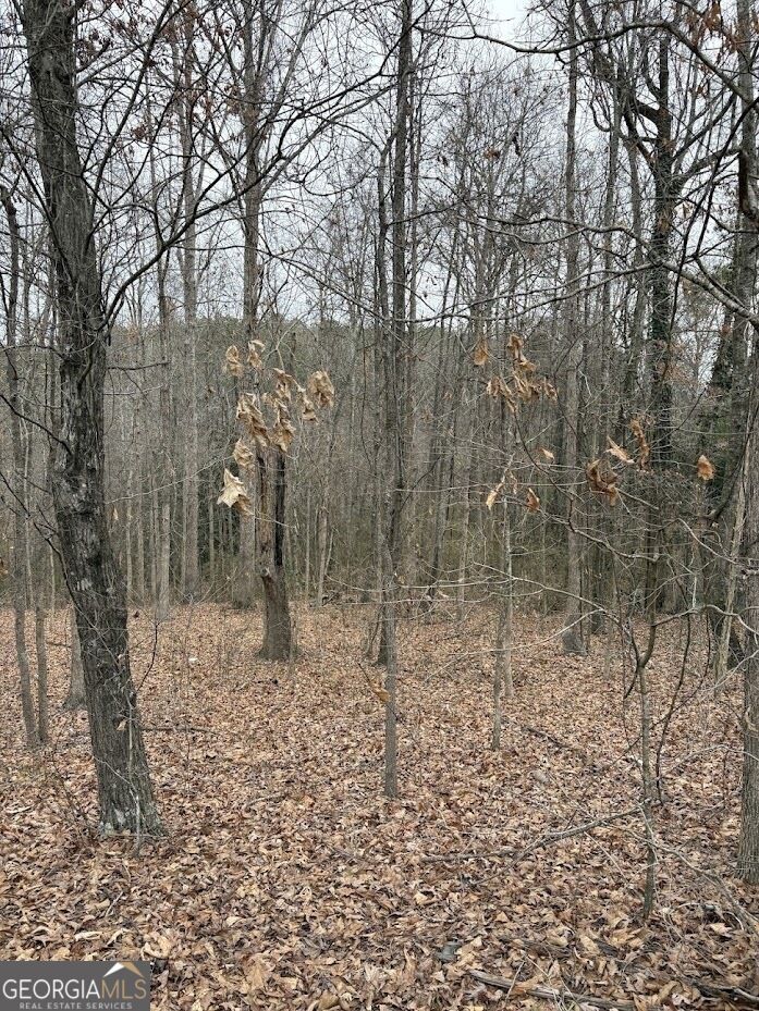 Property Photo: 0 Polk Avenue GA 30132