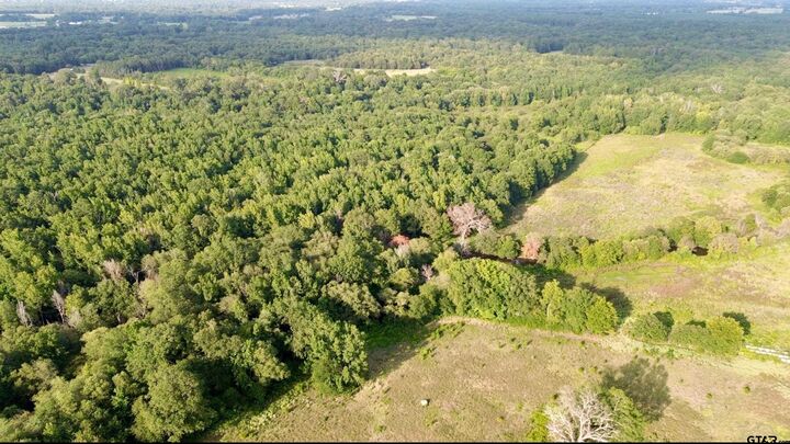 Property Photo:  Tbd Cr 3324  TX 75686 