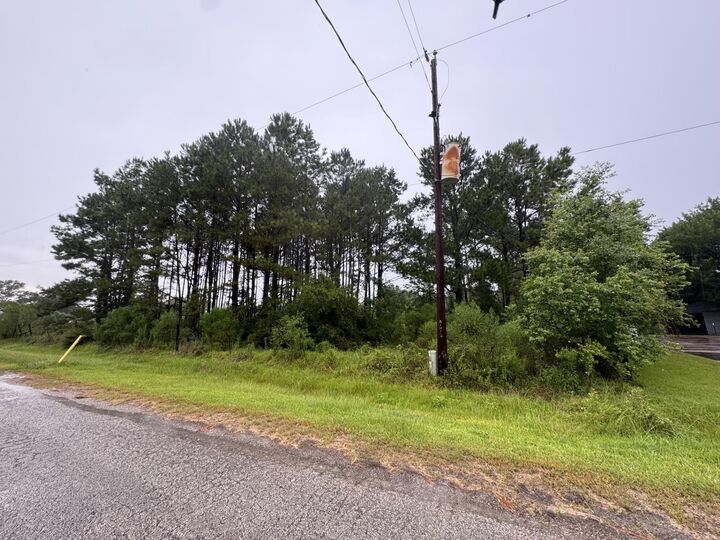 Property Photo:  235 County Road 1820  TX 77575 