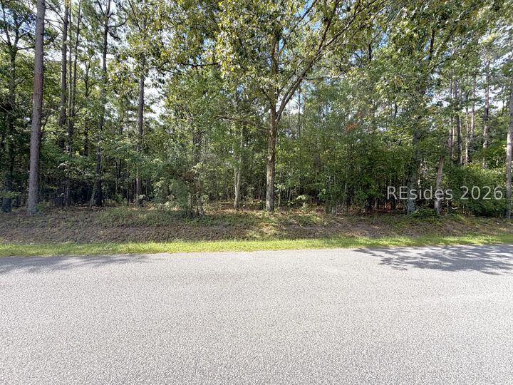 Property Photo: 90 Honey Drive SC 29488