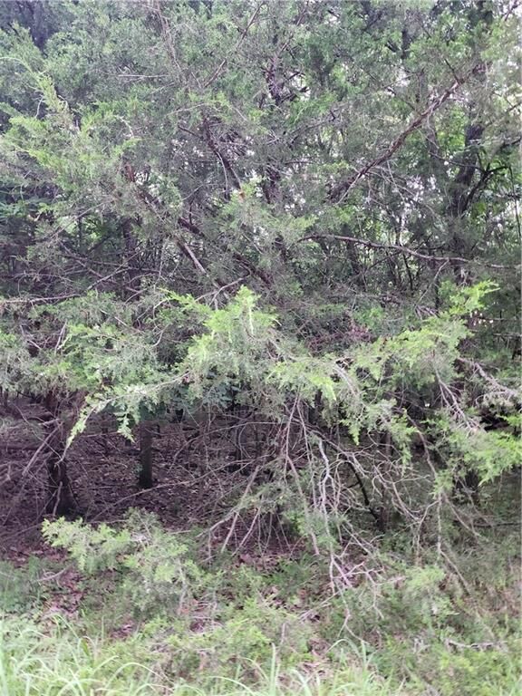 Property Photo: 5 Silver Lane KS 66040