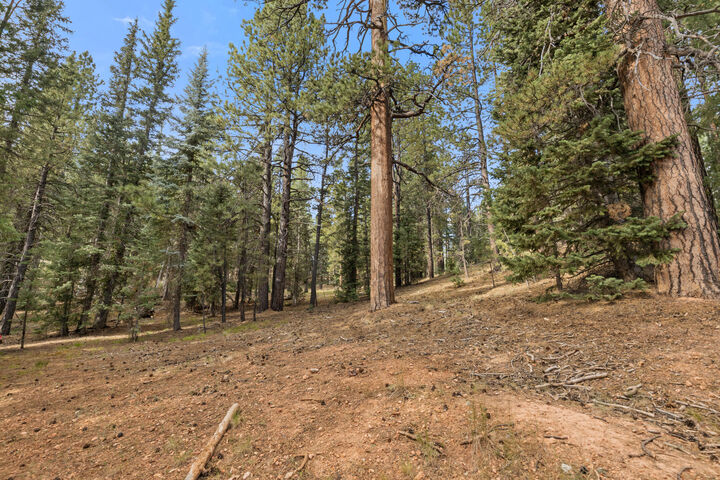 Property Photo:  20 Pinetree Trail  UT 84762 