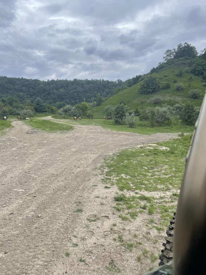 Property Photo:  0 Sugar Camp Branch Rd.  KY 41560 