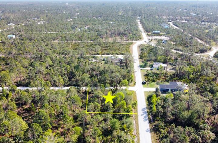 Property Photo:  12355 Graffiti Drive  FL 33955 