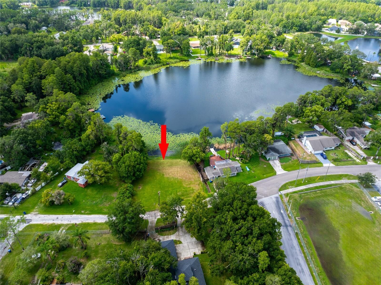 Property Photo:  21414 Lake Sharon Drive  FL 34638 