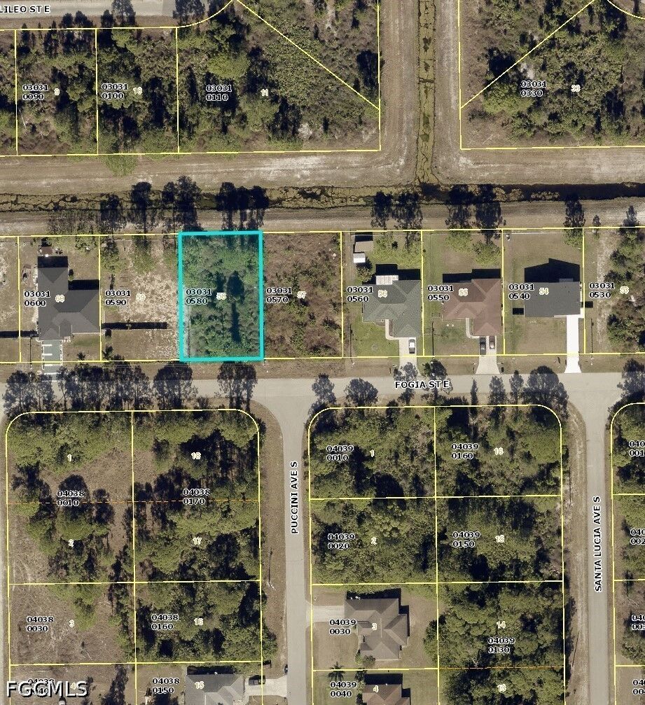 Property Photo: 1123 Fogia Street E FL 33974
