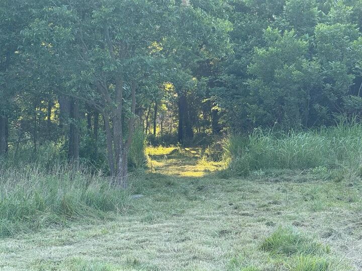Property Photo: 60 Pecan Valley Lot 60 Road OK 74873