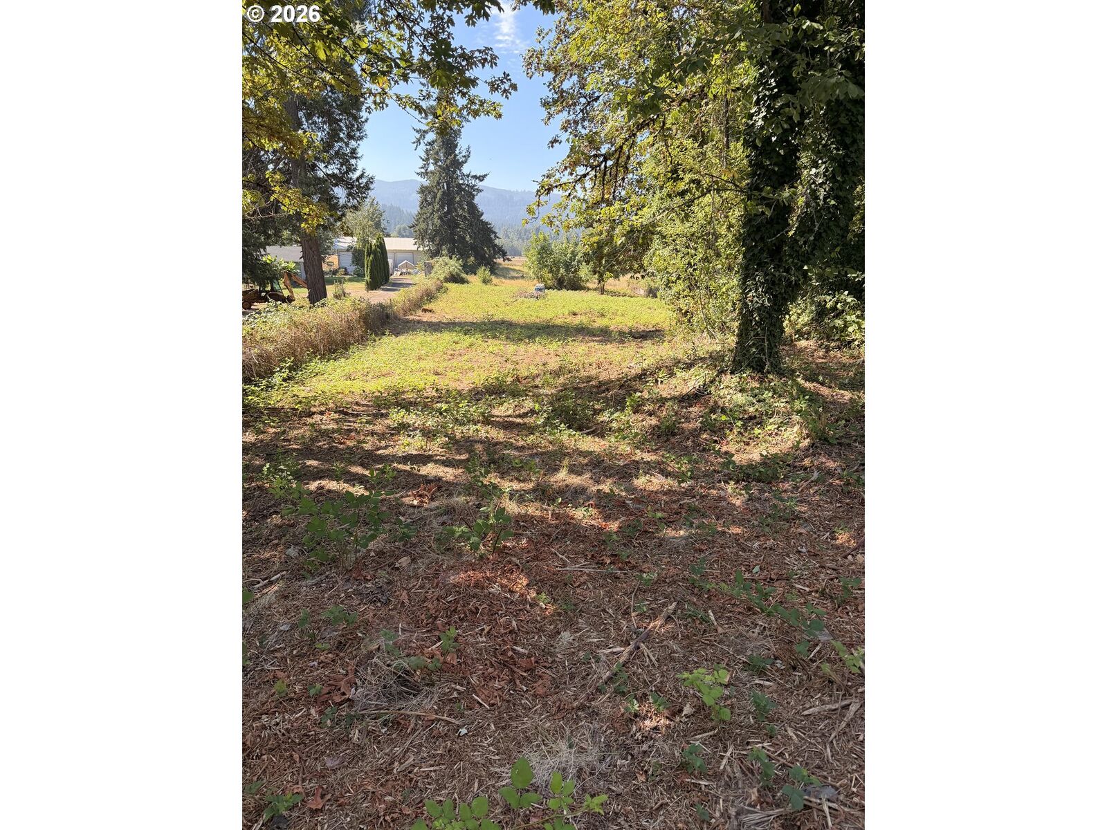 Property Photo:  McKenzie Hwy  OR 97477 