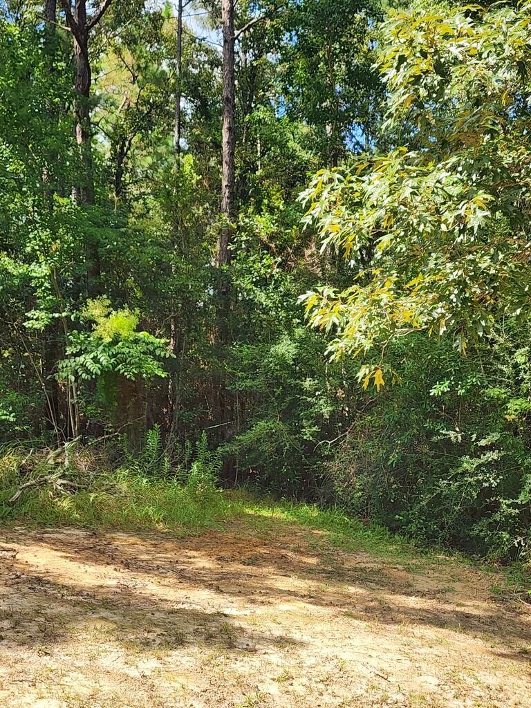 Property Photo: Tbd McGregor Road MS 39565