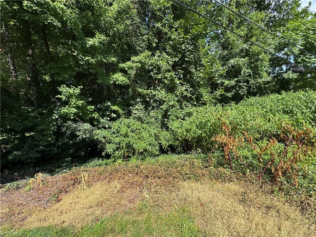 Property Photo: 0 Dilworth Street NC 27101