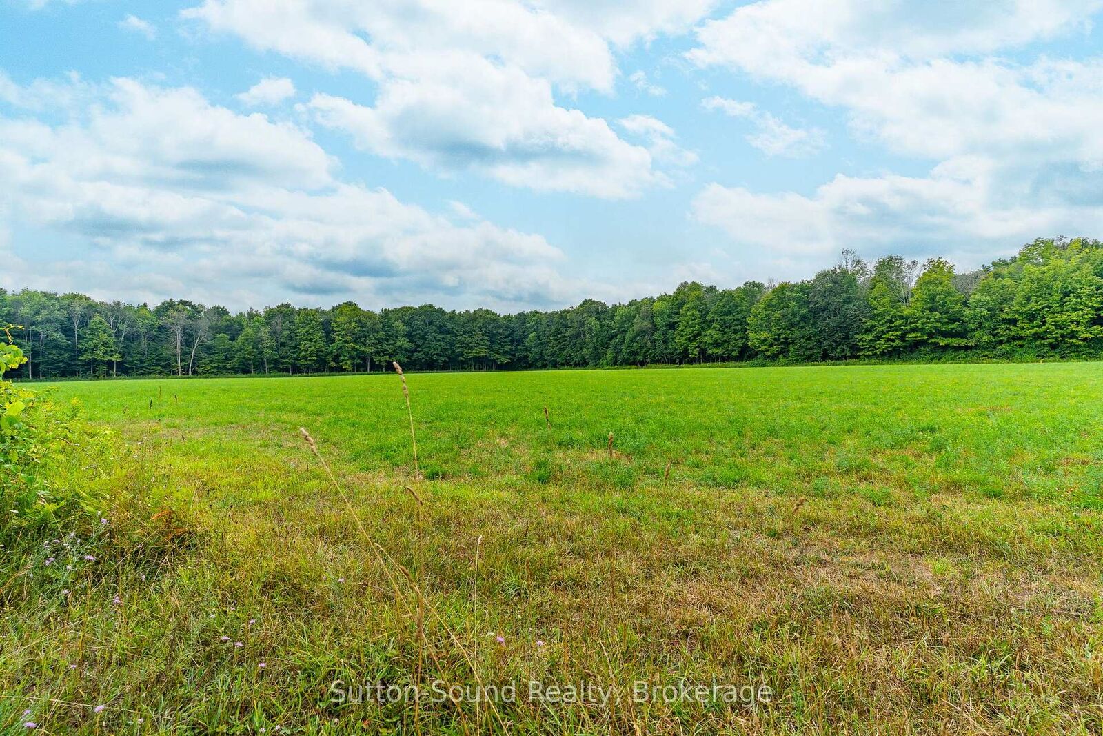 Property Photo:  Pt Lt 35-36 Centre Diagonal Road  ON N0H 2T0 