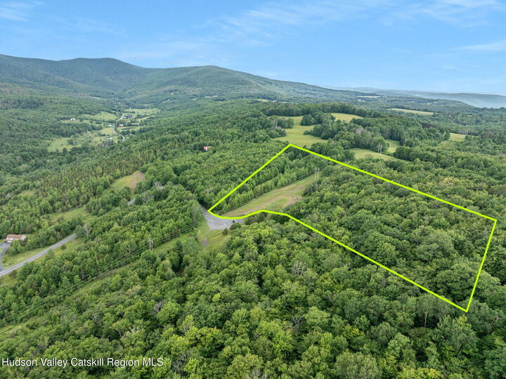 Property Photo: L36 Overlook NY 12452