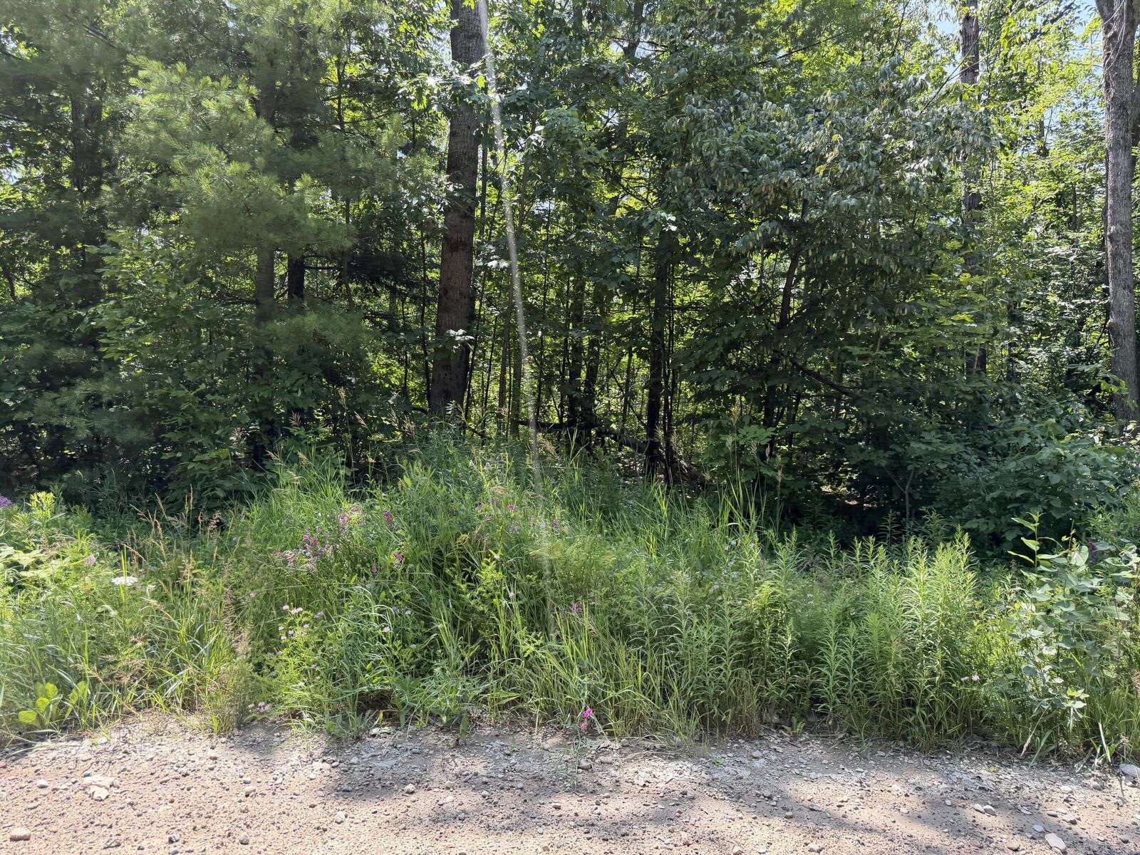 Property Photo:  7881 Meridian Line Road  MI 49751 