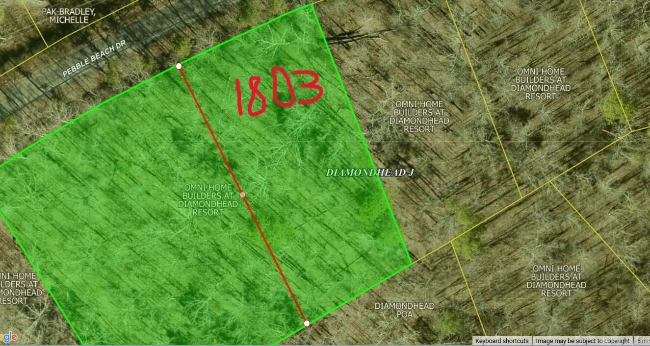 Property Photo: Lot 1803 Pebble Beach Dr AR 71913