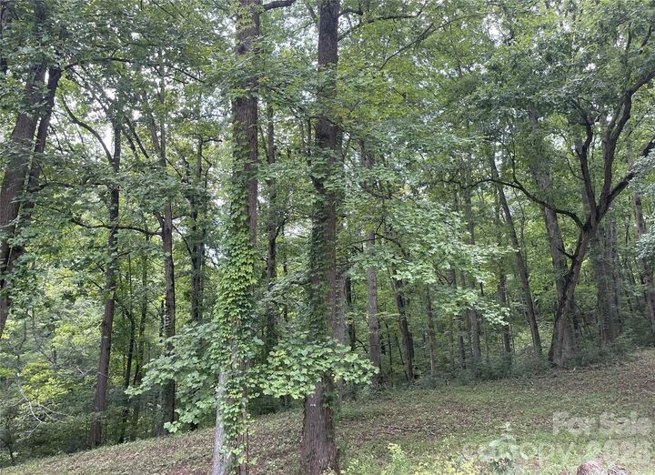 Property Photo: 2060 US 19 Highway S NC 28713