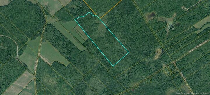 Lot Douglas Road — photo 1