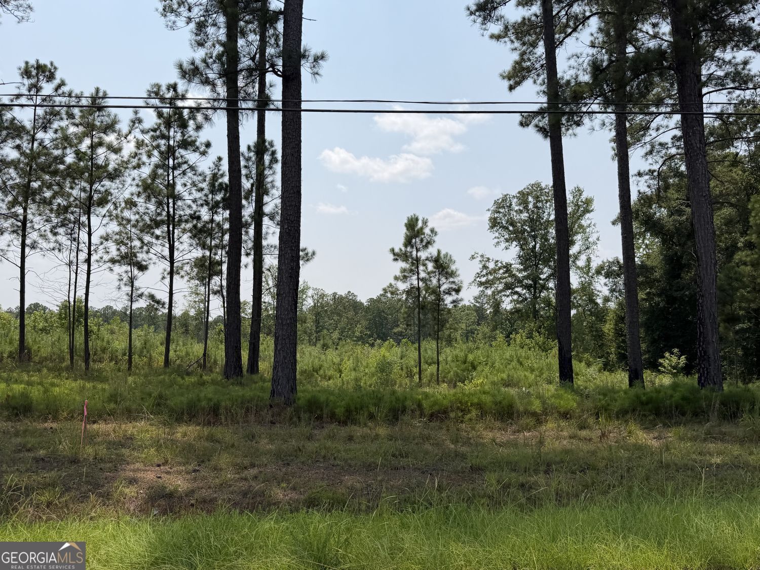 Property Photo: 734 Giles Road GA 31029