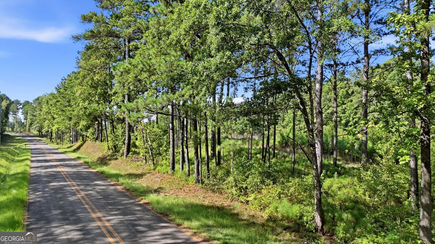 Property Photo:  734 Giles Road  GA 31029 