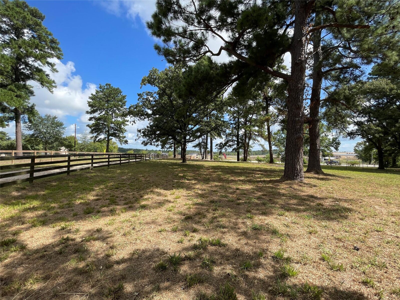 Property Photo: 19435 Keenan Cut Off Road TX 77316