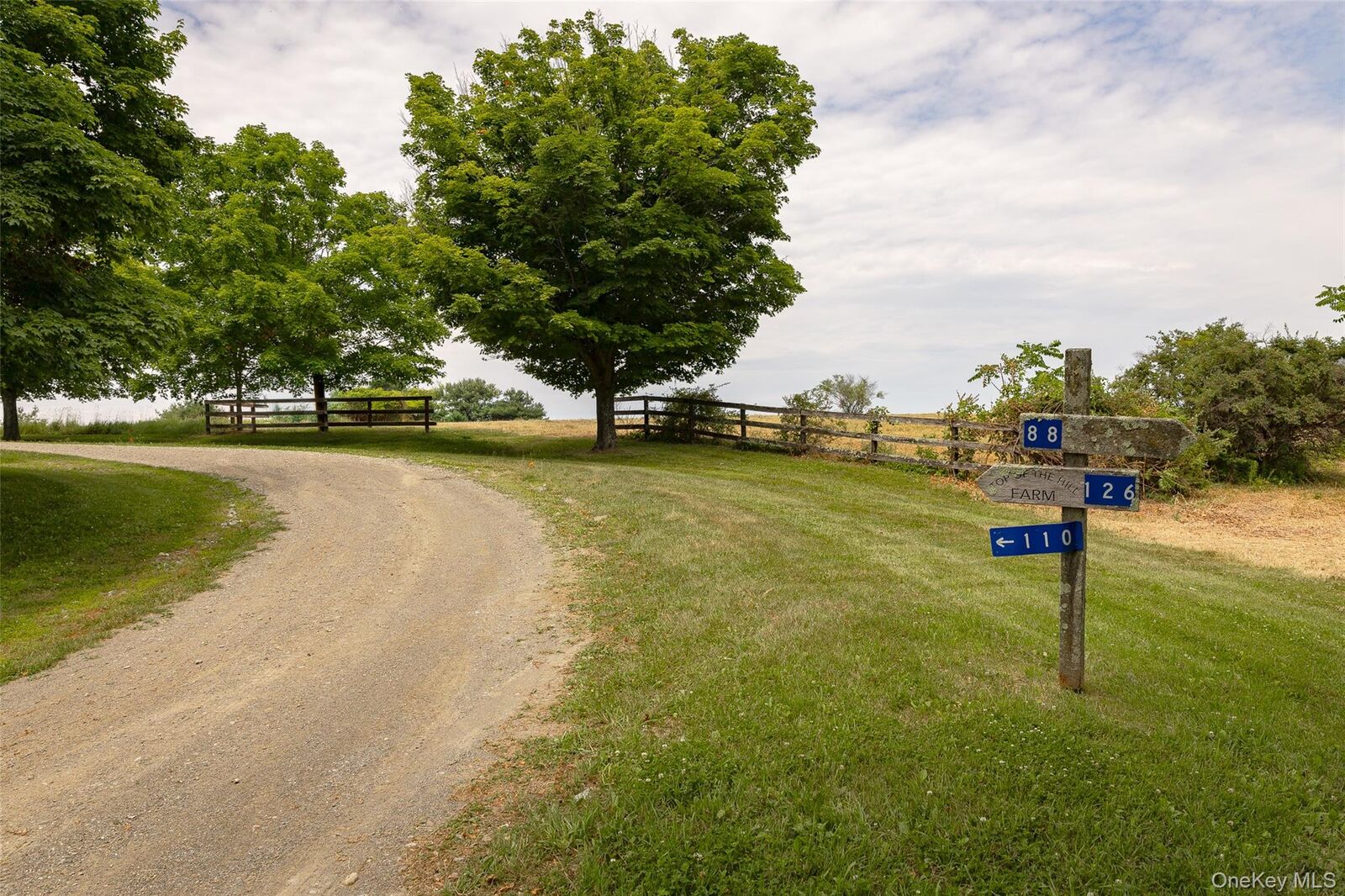 Property Photo:  88 Top Of The Hill Lane  NY 12581 
