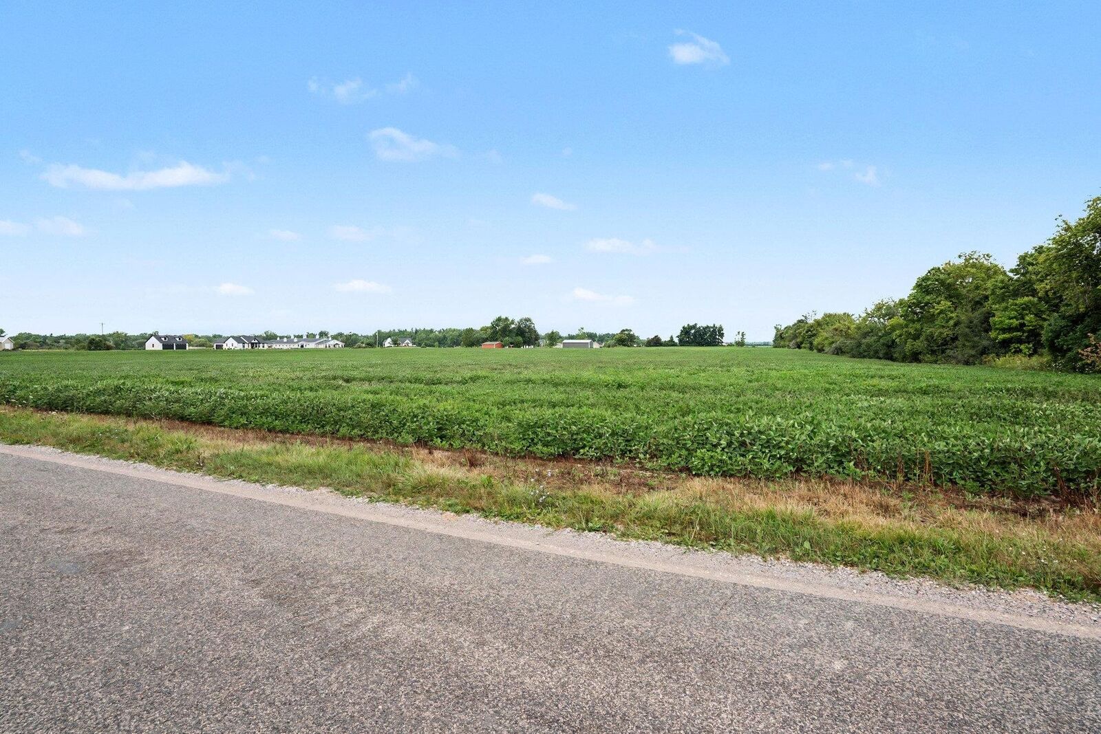 Property Photo:  9000 Carter  MI 48623 