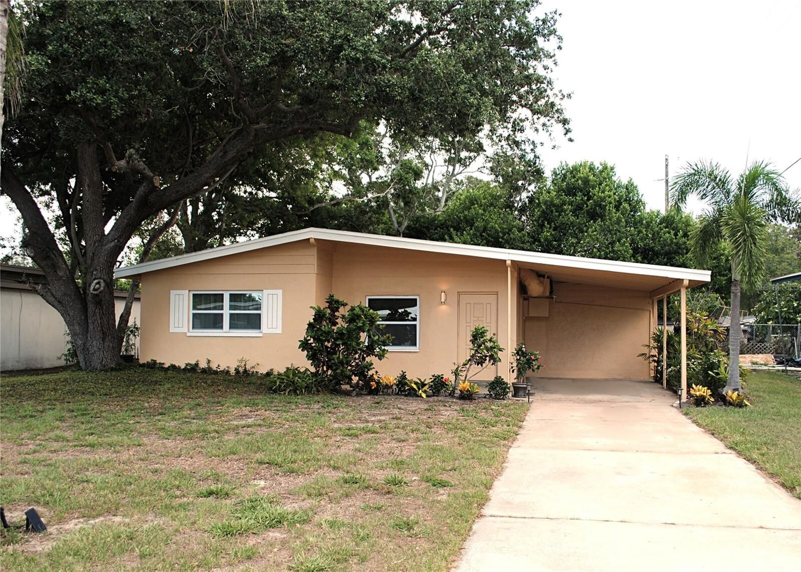 Property Photo:  2149 Riviera Drive  FL 33763 