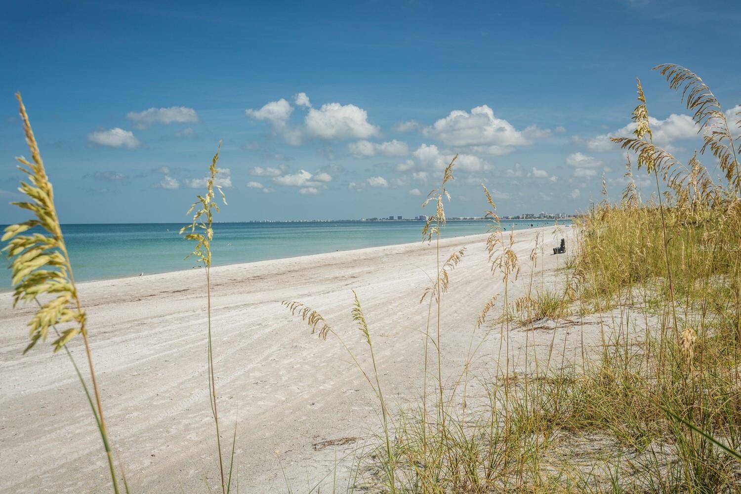 Property Photo:  15th Avenue  FL 33706 