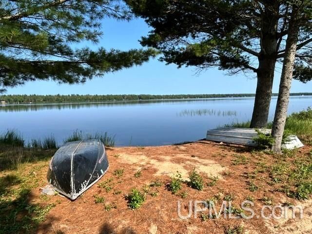 Property Photo:  Lot 62 Little Rice Lake Road  MI 49945 