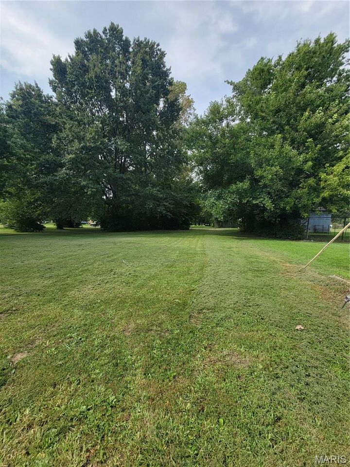 Property Photo:  Tbd S Walnut Street  IL 62056 