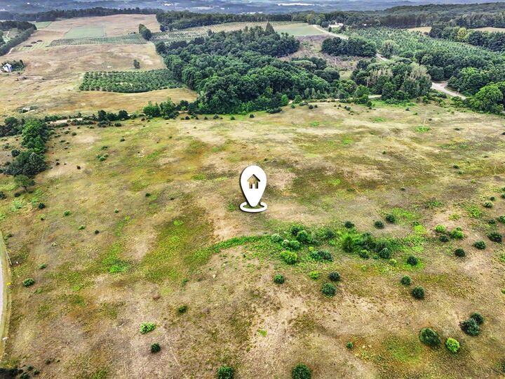 Property Photo: Parcel G Water Road MI 49420