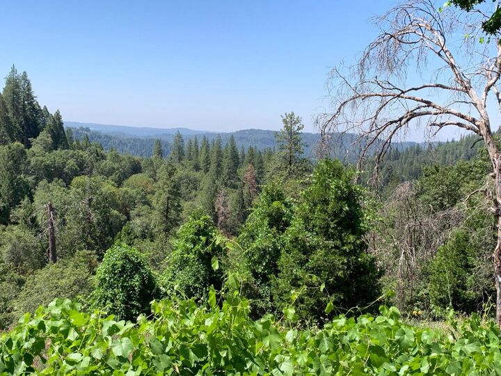 Property Photo:  10 Meyers Road  CA 95709 