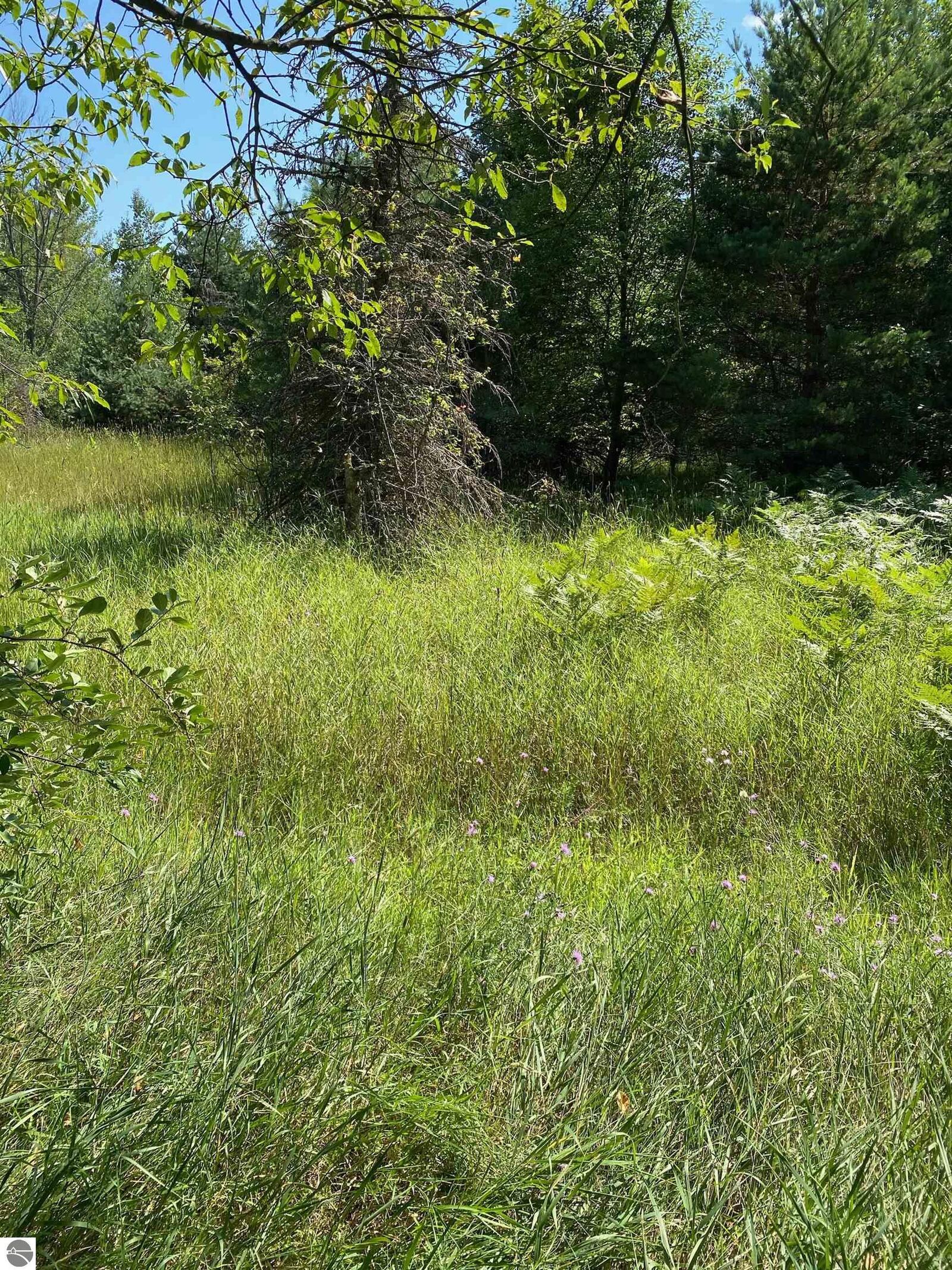 Property Photo:  6274 SW Friendship Lane  MI 49633 