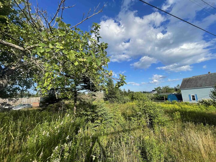 Property Photo:  22 Lorway Street  NS B1C 2K1 