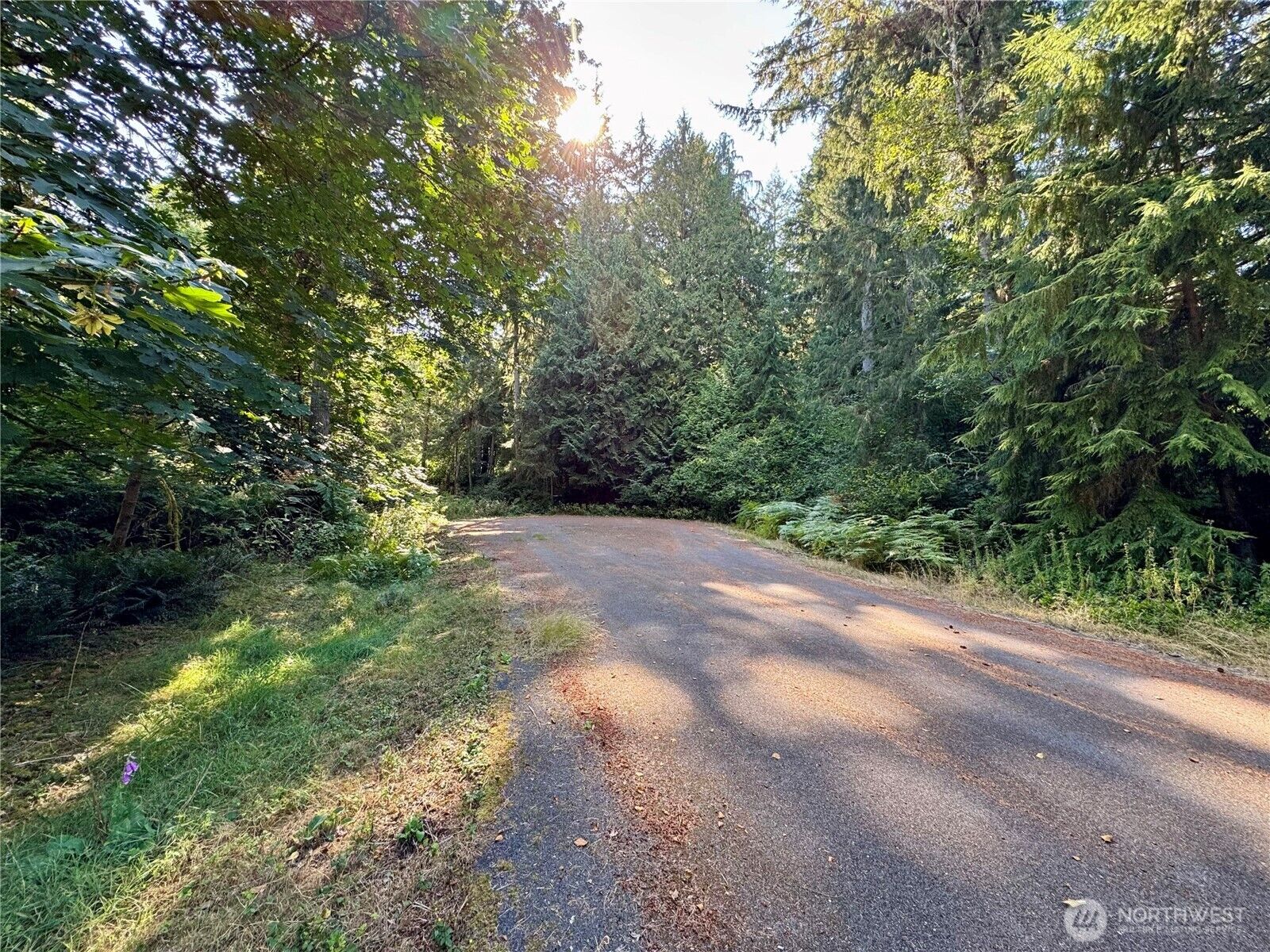 Property Photo:  10516  106th Street  WA 98303 