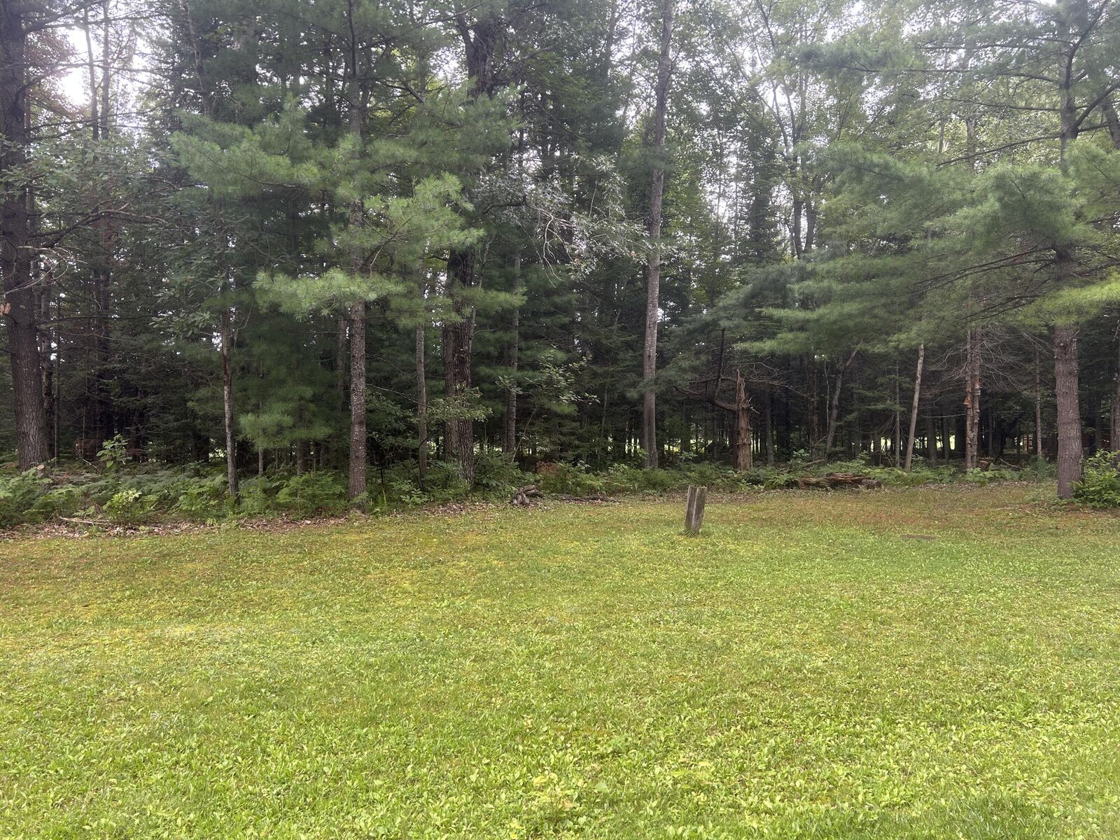 Property Photo:  20935 East Riverside Drive  MI 49746 