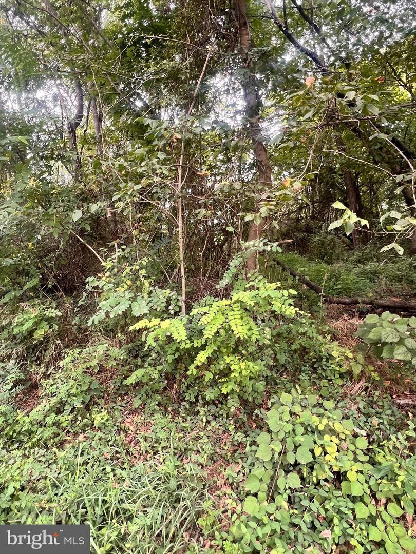 Property Photo:  Lot 15 Nameless Way  WV 25404 