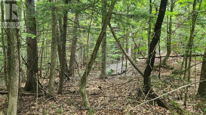 Property Photo:  00 Canaan Road  ON K7V 3Z4 