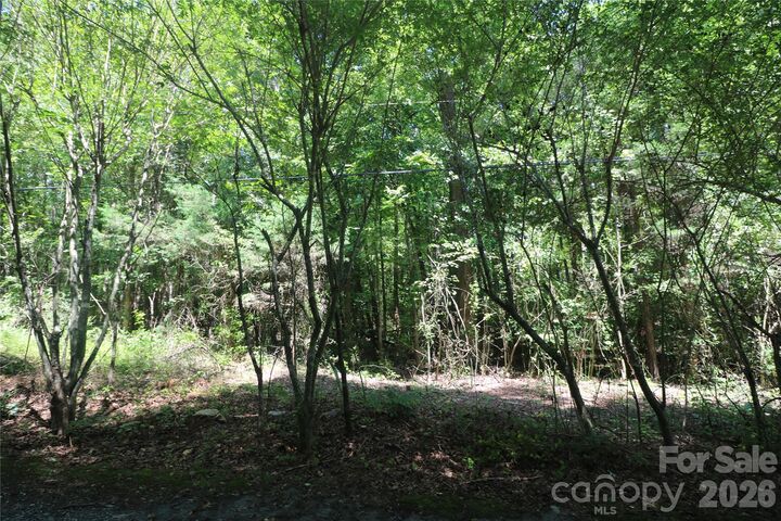 Property Photo:  0 Shady Nook Circle  NC 28043 