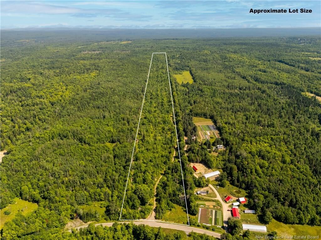 Property Photo:  124 Giants Glen Road  NB  