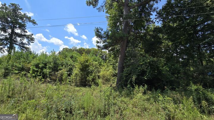 Property Photo:  7161 Molton Road  GA 31216 