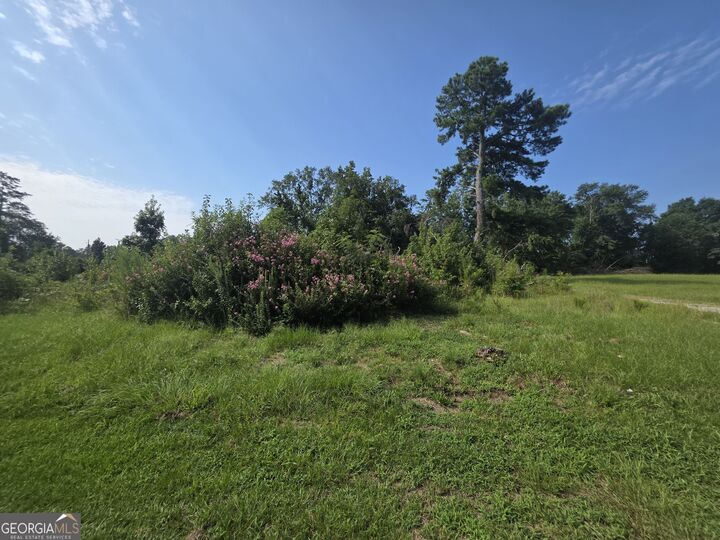 Property Photo:  4488 Edwards Drive  GA 30809 