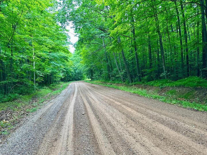 Property Photo: Lot 3 Crane Foot Lake Rd WI 54435