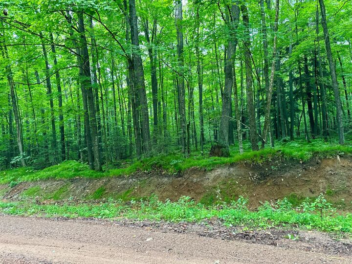 Property Photo: Lot 1 Crane Foot Lake Rd WI 54435