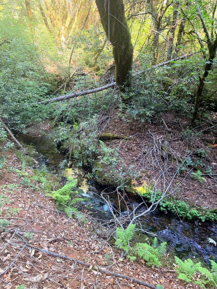 Property Photo: 18048 Zamora Trail CA 95922