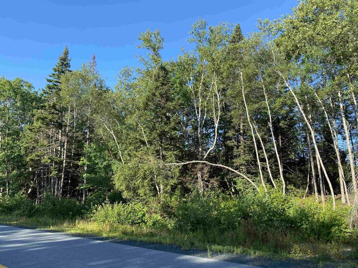 Property Photo:  Lot 14 Eastern Shore Road  NS B0J 2T0 